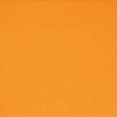 Kerstzegelaktie 2025